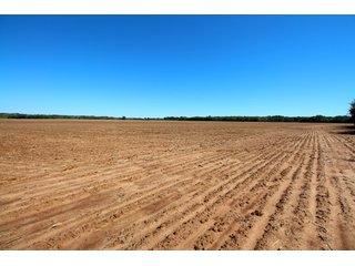 Property photo 26 - SIGNIFICANT LAND & PRODUCING MINERALS SEALED BID AUCTION - 233+/- ACRE FARM IN 1 TRACT - 6 MINERAL TRACTS IN GARVIN, MCCLAIN, GRADY & ROGER MILLS COUNTIES, OKLAHOMA